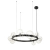 Люстра Delight Collection 8828P/S black/clear