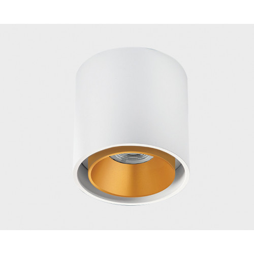 Светильник накладной mod. SKY white + SKY R gold