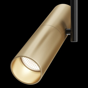 Потолочный светильник  Elti C020CL-01GB
