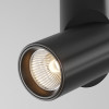 Потолочный светильник Dafne C027CL-L10B