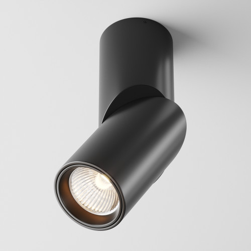 Потолочный светильник Dafne C027CL-L10B