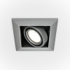 Встраиваемый светильник  Metal Modern DL008-2-01-S