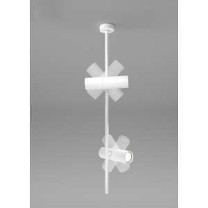 Потолочный светильник  Elti C021CL-02W