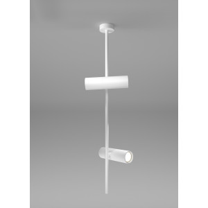 Потолочный светильник  Elti C021CL-02W