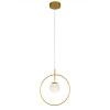 Подвесной светильник Delight Collection MD21001043-1A gold