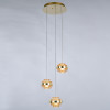 Подвесной светильник Delight Collection MD22030002-3A gold/champagne