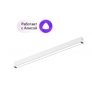 Трековый светильник Denkirs DK8005-WH