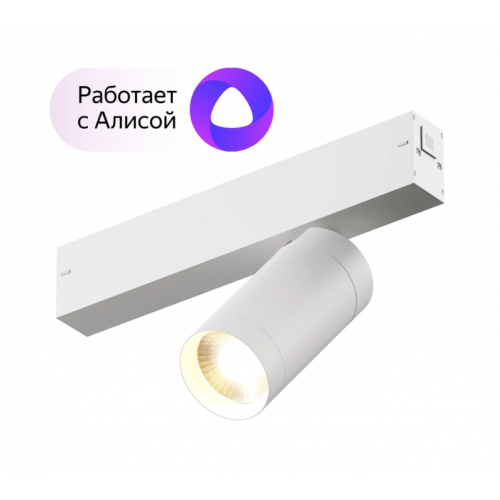Трековый светильник Denkirs DK8010-WH