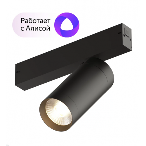 Трековый светильник Denkirs DK8020-BK