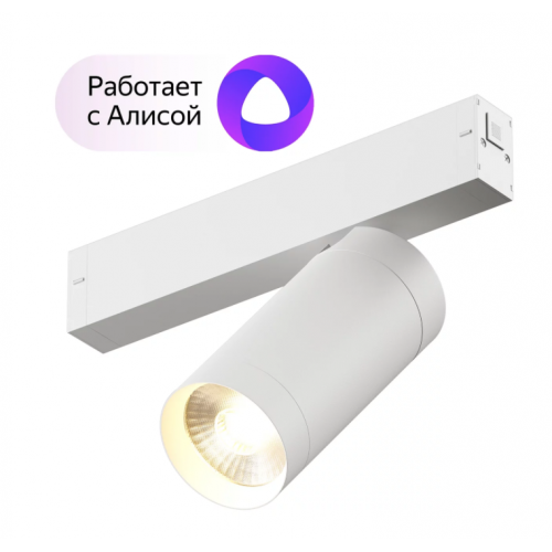 Трековый светильник Denkirs DK8020-WH