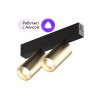 Трековый светильник Denkirs DK8012-BG