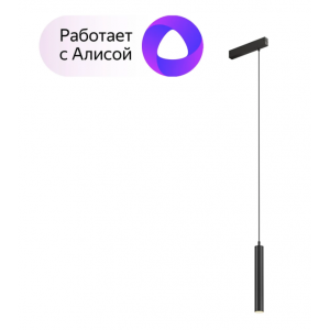 Трековый светильник Denkirs DK8008-BK