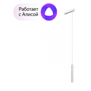 Трековый светильник Denkirs DK8008-WH