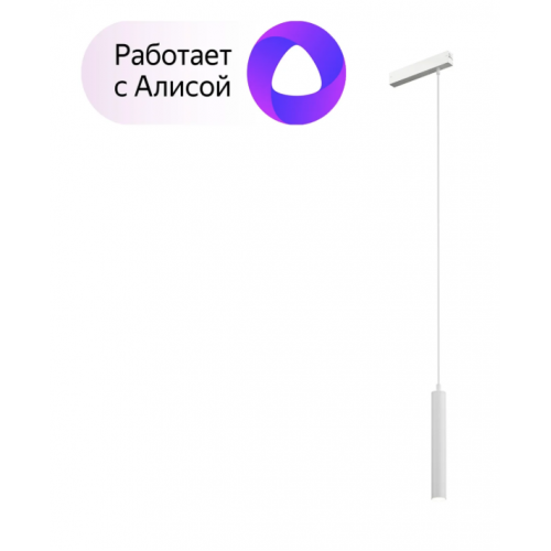 Трековый светильник Denkirs DK8008-WH