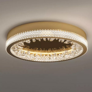 Настенный/Потолочный светильник Delight Collection XD-50 gold