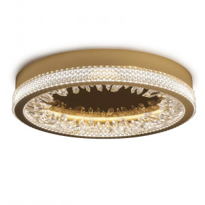 Настенный/Потолочный светильник Delight Collection XD-50 gold